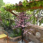 Hotel Beau Soleil Le Lavandou